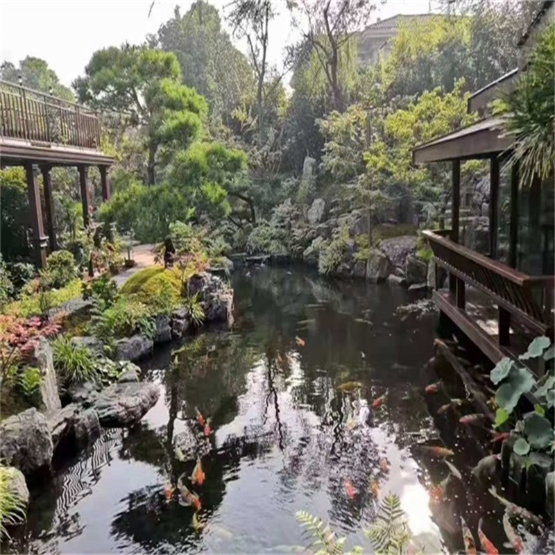 青州小庭院假山鱼池